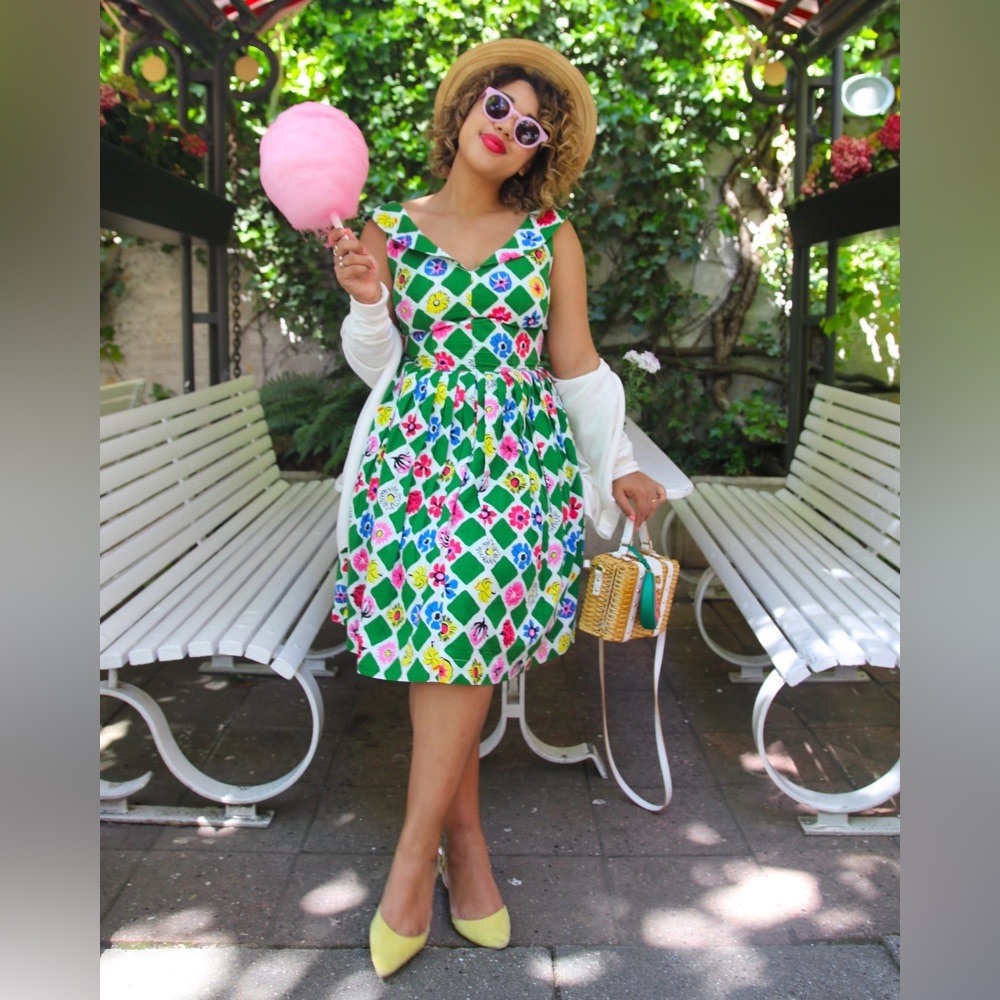 Emily & Fin Vintage inspired vim A-line dress